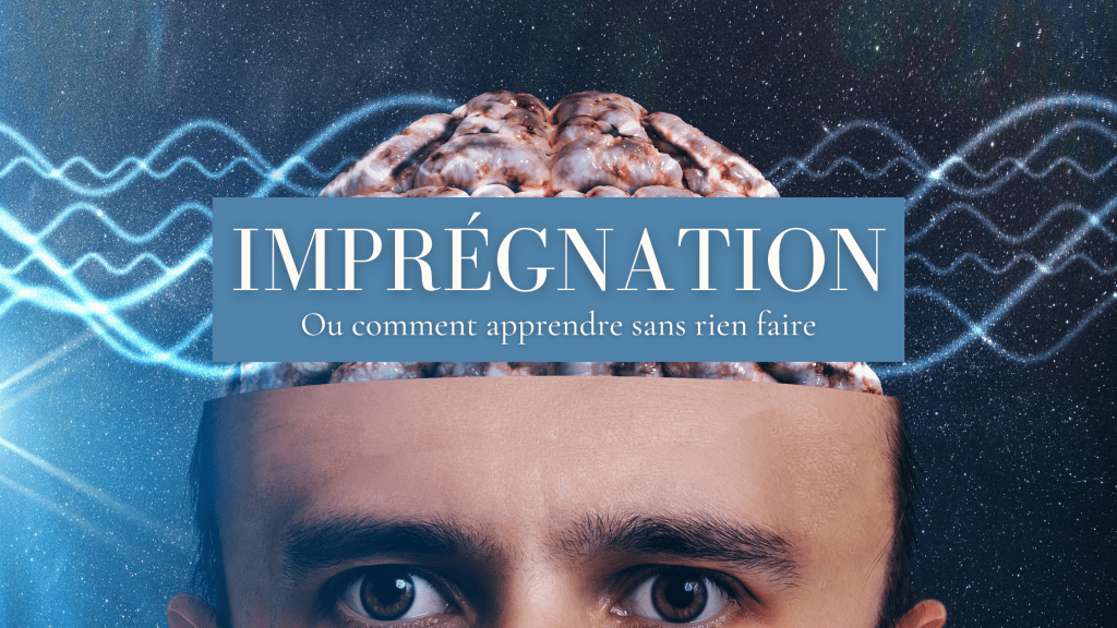 Imprégnation