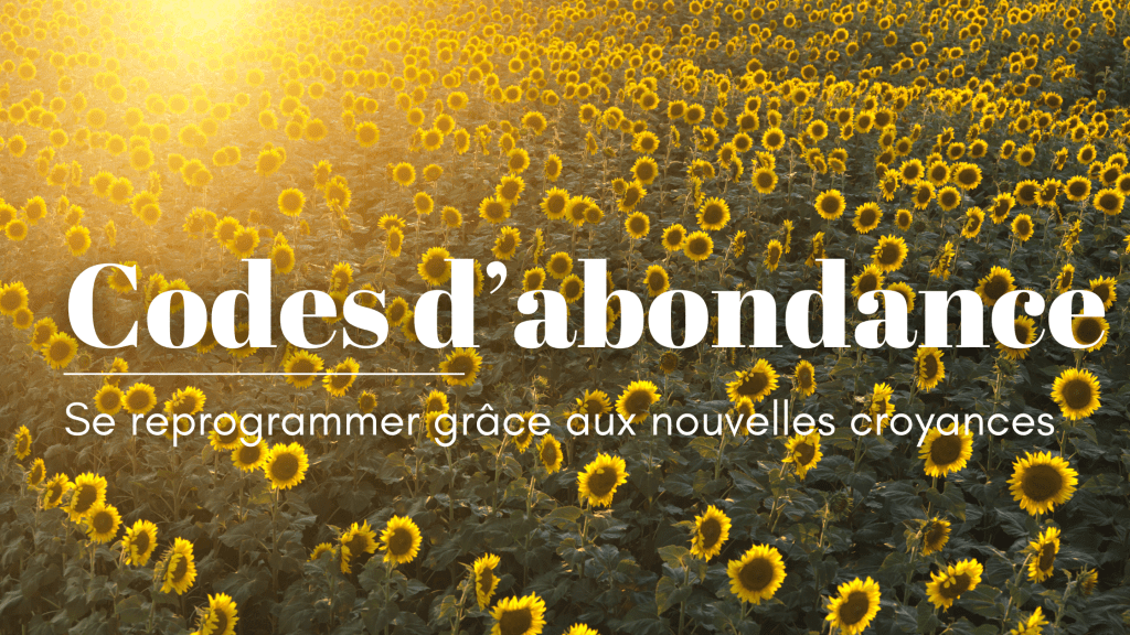 Codes d&rsquo;abondance :&nbsp;reprogrammation