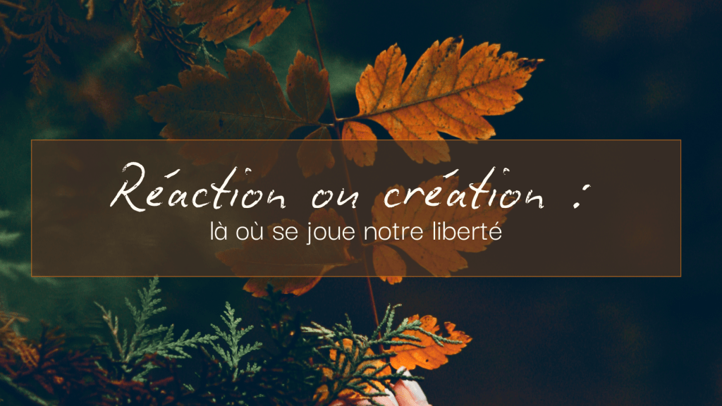 Réaction ou création : là où se joue notre&nbsp;liberté